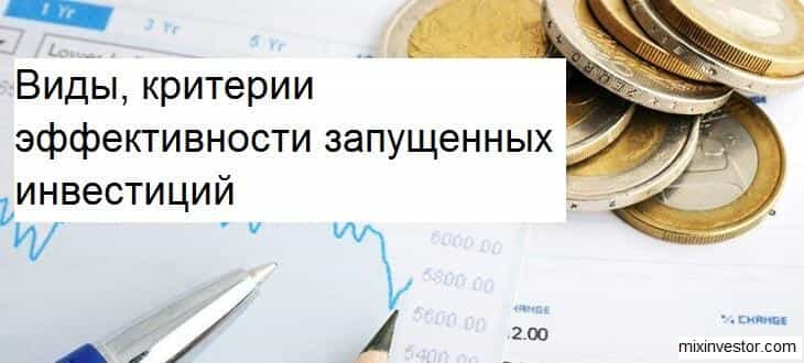 экономическая эффективность инвестиций