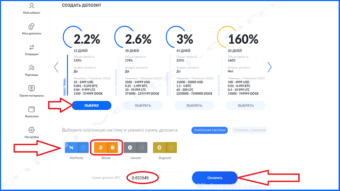 Bitify Online 