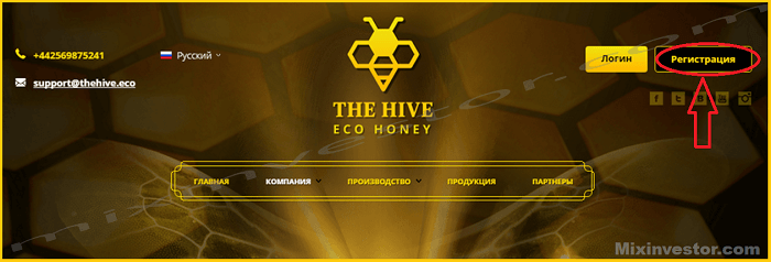 Thehive Eco