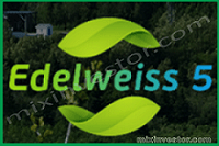 edelweis