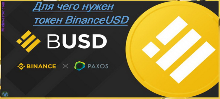 mini busd что это на binance